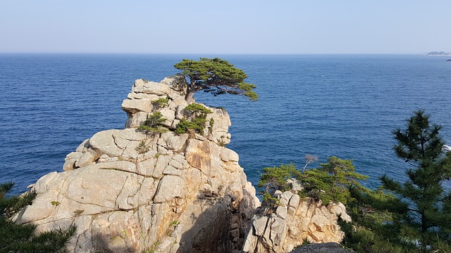 푸른 바다를 배경으로 흰색 돌들이 있는 하조대의 사진.